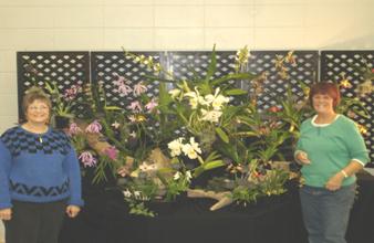 OSRBG Display at NROS Show